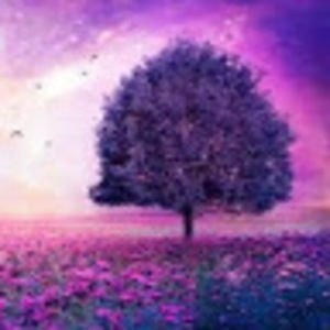 Meet your Posher, Nathan